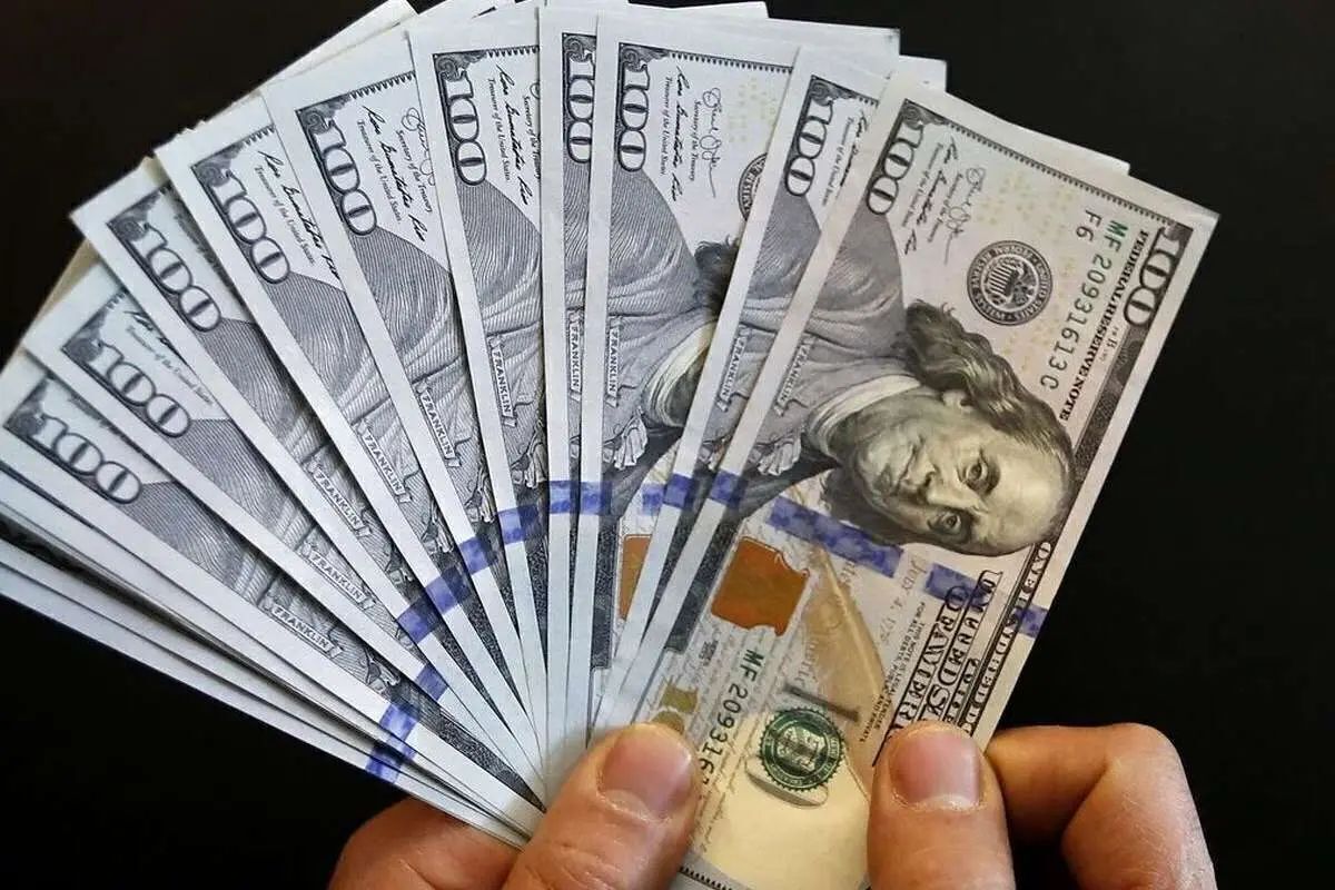 Wp Header Logo 710.png