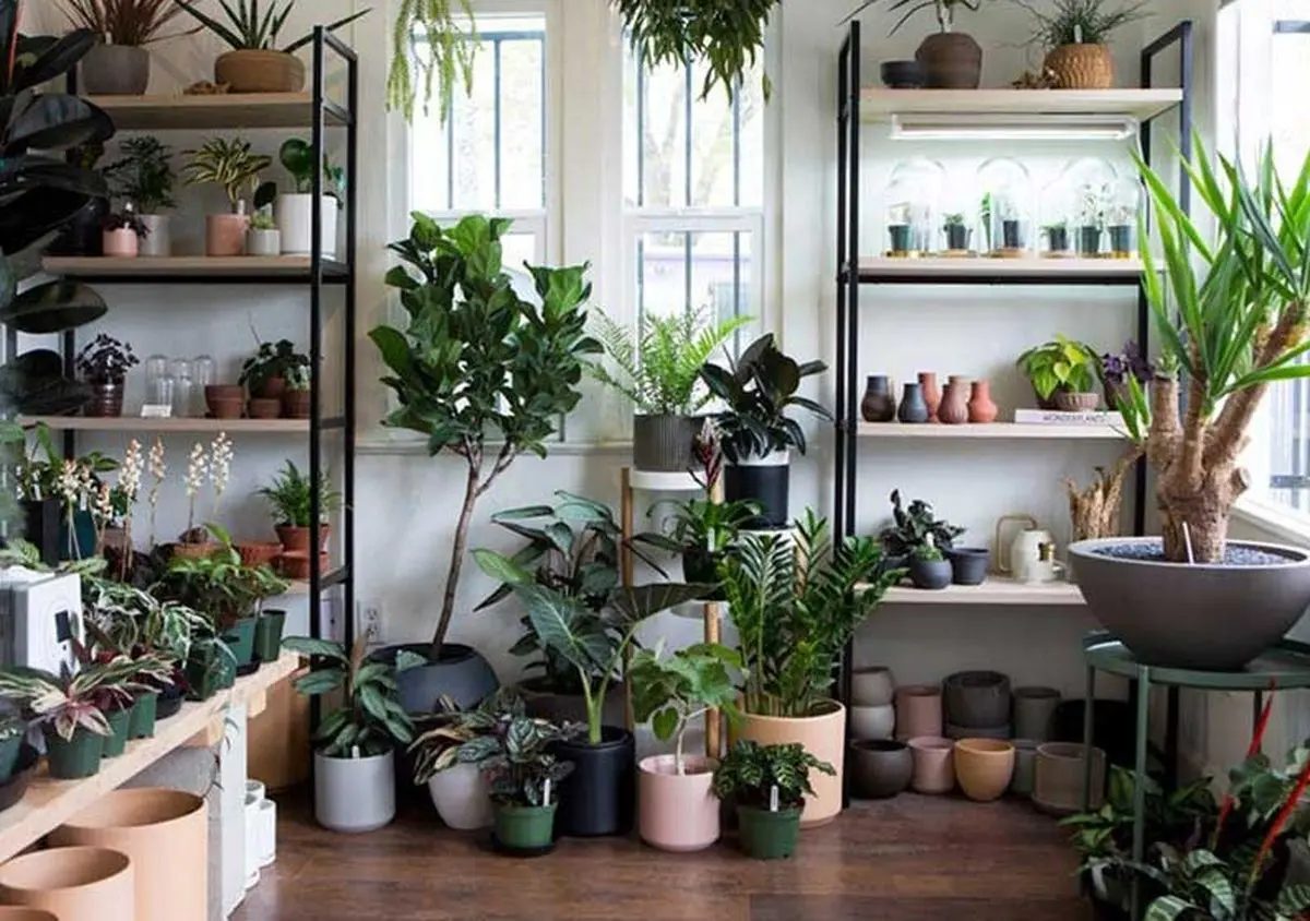 Wp Header Logo 808.png