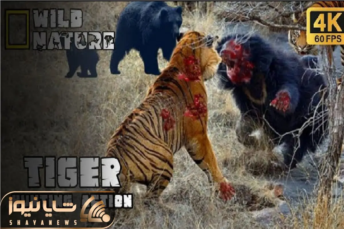 Wp Header Logo 871.png