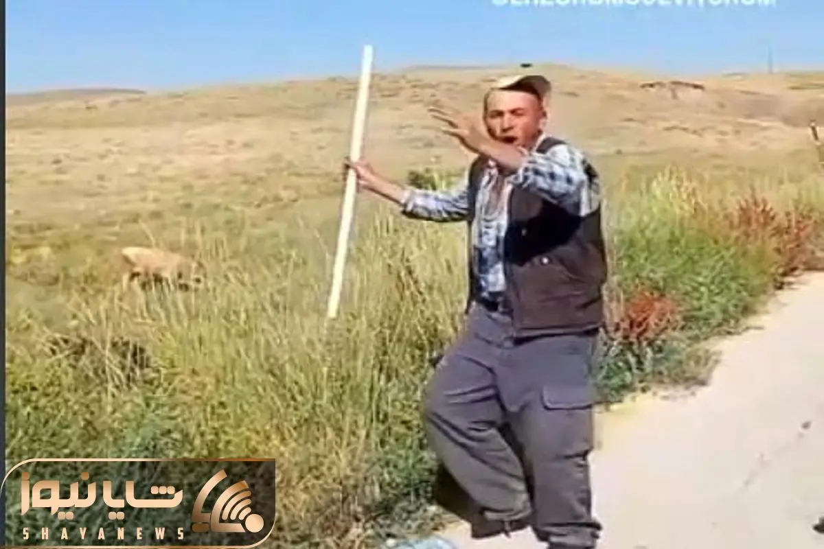 Wp Header Logo 941.png