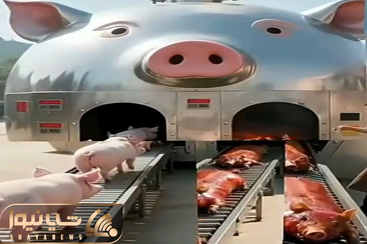 Wp Header Logo 988.png