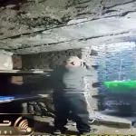 کشاورزی نوین؛ تو دهاتای چین زیر زمین کلا سوراخ کندن پر سبزی و میوه یه شهرو سیر میکنه