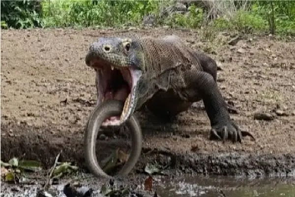 Wp Header Logo 221.png