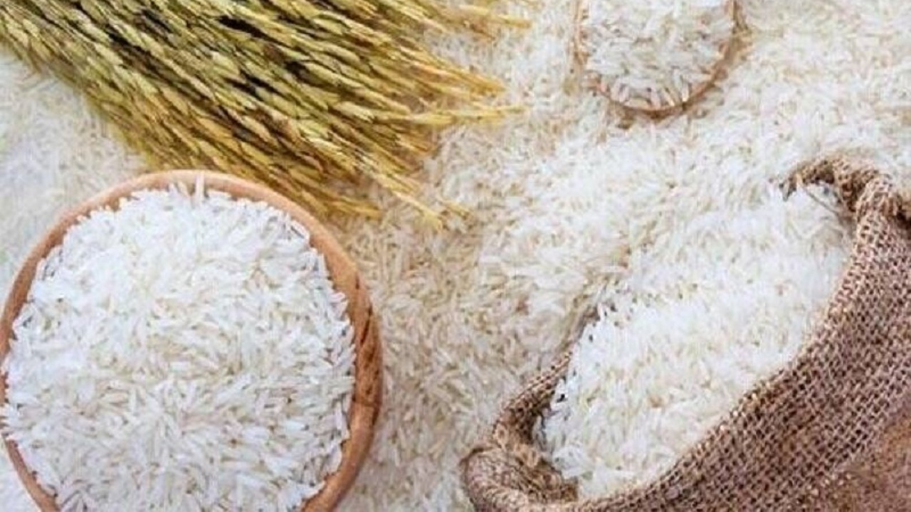 Wp Header Logo 32.png