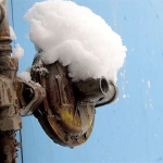 مصرف 75درصد گاز تولیدی در بخش خانگی و تجاری