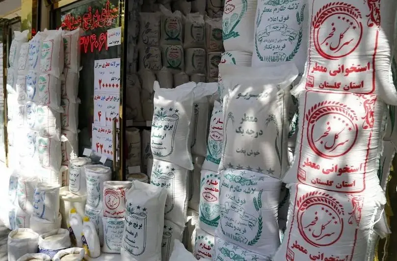 Wp Header Logo 101.png