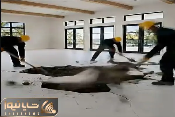 Wp Header Logo 168.png