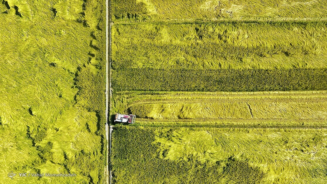 Wp Header Logo 247.png