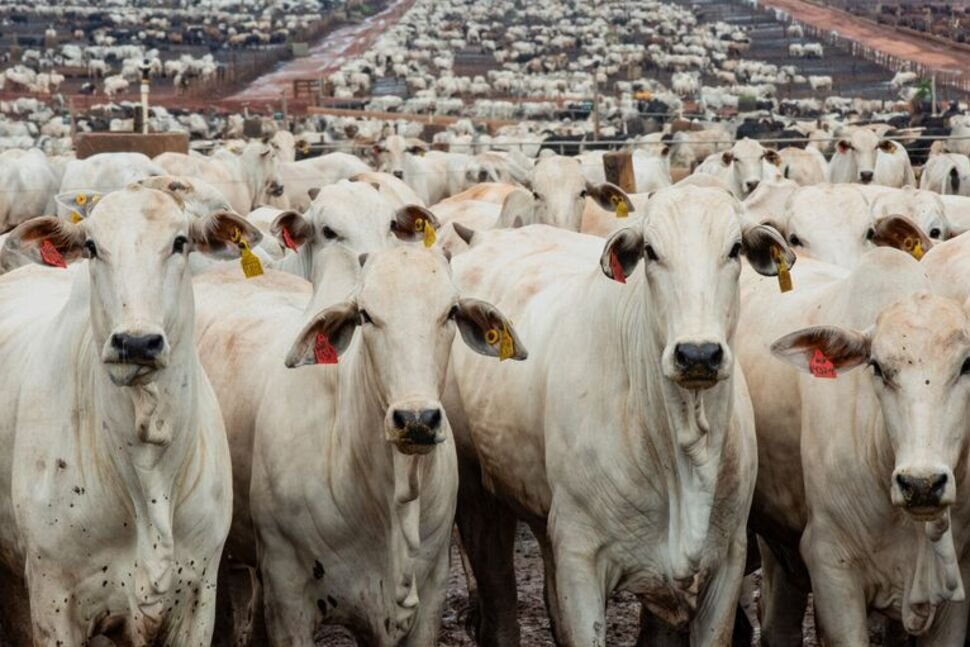 Wp Header Logo 251.png