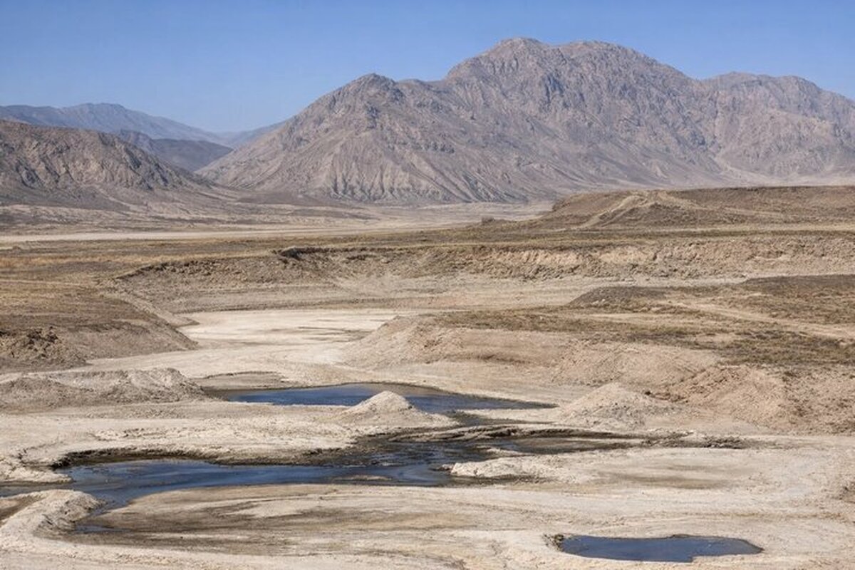 Wp Header Logo 278.png