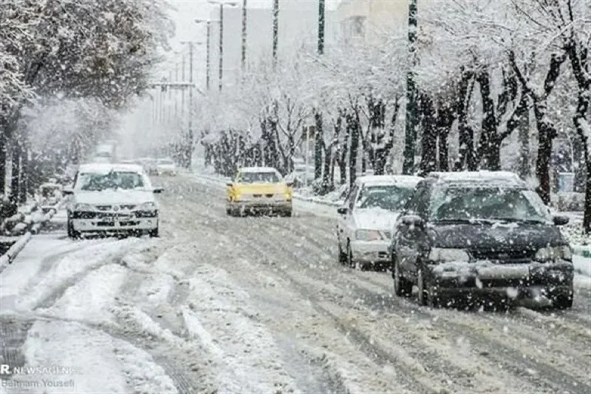 Wp Header Logo 51.png